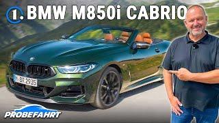 BMW 8er Cabrio (2023) im Test | PROBEFAHRT