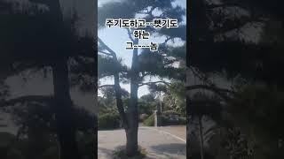 강문경#그놈#청주우천불고기 #찬옥이자유tv