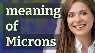 Microns | meaning of Microns