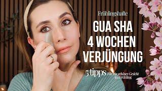 4 WOCHEN GUA SHA VERJÜNGUNGSKUR zur Gesichtsstraffung + 5 Tipps für ein schönes Gesicht im Frühling