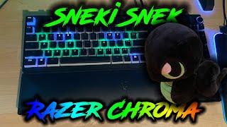 Sneki Snek Razer Chroma Profile | UnrealHero