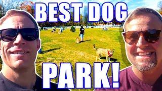 EXPLORING DOG PARKS: A Guide For Pet Lovers! | Living In Bend Oregon | Bend Oregon Real Estate Agent