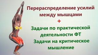 Перераспределение усилий мышц. Задачи по практической деятельности ФТ и на критическое мышление