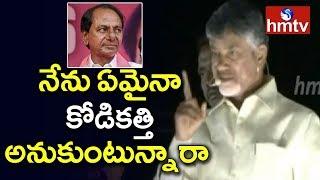 Chandrababu Naidu Fires on KCR Comments | Telugu News | hmtv