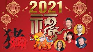 2021年 生肖(豬)運程 - 李丞責、蘇民峰、麥玲玲、李居明、楊天命