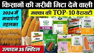 Makka ki best variety | Makka TOP 10 variety | बरसाती मक्का की बेस्ट वैरायटी | Makka ki Variety 2024