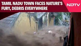 Cyclone Fengal | Tamil Nadu's Tiruvannamalai Faces Nature's Fury, Debris Everywhere