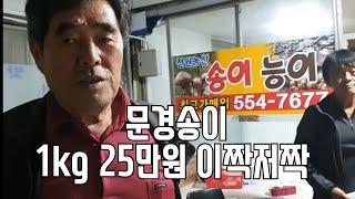 오춘봉LIVE]문경송이 직판장 40년 이짝저짝 경북의성동생 강추 직판장 #송이직판#능이버섯#상주여행