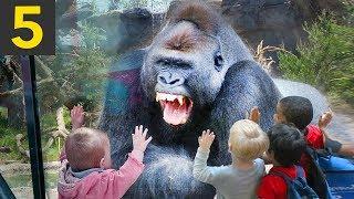 Top 5 Angry Monkey Encounters