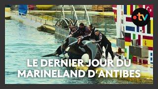 Le Marineland d'Antibes a fermé ses portes après plus de 50 ans d'existence, la fin d'une époque