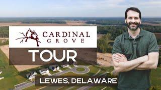 Cardinal Grove by Schell Brothers- New Home Community Tour in Lewes, DE