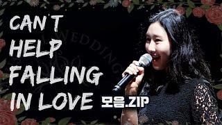 뮤지컬웨딩 최애곡 'Can't Help Falling In Love' 모아듣기