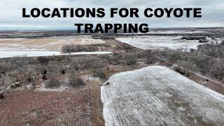 Choosing Locations for Coyote Trapping - The Management Advantage