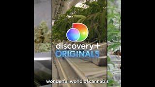 Tank Glass will be featured on new show "High Design" on Discovery+