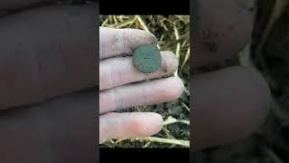 #2024 #metaldetecting #коп #coin #клад #equinox #монети #equinox600 #история #знаходимо #rek