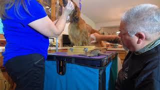 Show Grooming the Long Haired Dachshund (Fronts) with Eric Salas