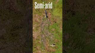 How To Effectively Snipe in Arma 3