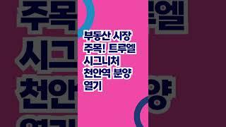 천안 일성트루엘 시그니처 천안역 GTX-C 역세권 아파트 5000만원 할인분양 입주까지 계약금5%끝 천안역 증개축공사 확정