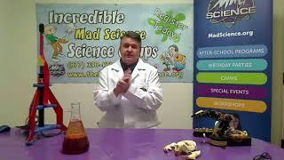 Mad Science Summer Camp is Back!