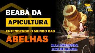 Conheça TUDO sobre as abelhas que fazem a Superprodução de Mel  - LIVE DE QUARTA#102