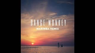 Dance Monkey - Marimba Remix