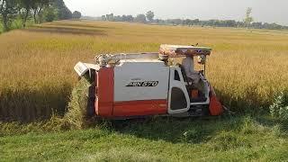 Kubota ARN570 combine harvester II Kubota mini harvester II Dhan kata gari II Rice harvester