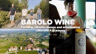 Barolo with Fratelli Revello winery - Farming, climate change and winemaking