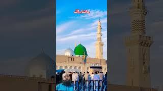 #love #shortsfeed #duet #historyofislam #madina