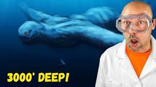 The Ocean is WAY Deeper Than YOU Think