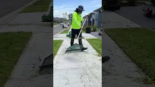 Controversial Opinion. If you're not doing this on an overgrown lawn, you're not  doing 1/2 the job.
