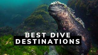 Top 5 Best Dive Destinations in the World