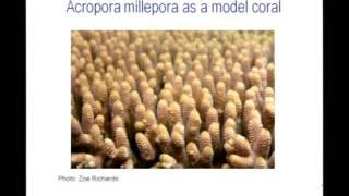 David Miller - How to build a coral reef – lessons from the coral genome.