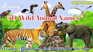 50 Wild Animal Names - Strange Animals Under the Sea - Animal World 2024