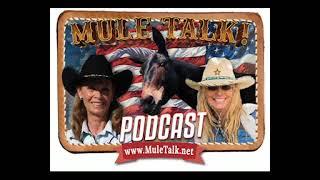 Making history with mules with Meredith Hodges of the Lucky Three Ranch and Cindy K Roberts