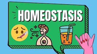 Homeostasis Examples