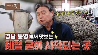 [테마기행 길] 가을 제철 음식이 시작되는 통영 한 바퀴  | MBC경남 241108 방송