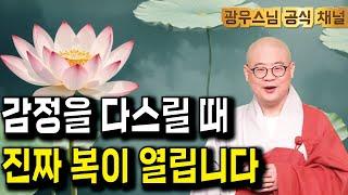 왜 참는 자에게 복이 온다고 할까요? 진실을 알려드립니다 | 광우스님 원오사 초청 법문