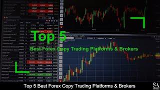 TOP 5 BEST Forex Copy Trading Platforms & Brokers (revealed ) 