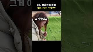 염소 타조 그리고?