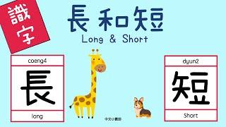 幼兒識字：長、短｜兒童認字｜廣東話學中文｜learn chinese