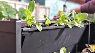 How to put together your PlantBox troughs