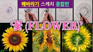 '꽃(flower)' 그림 독학을 위한 쉽게 꽃 그리기 강좌 / 해바라기 스케치 종합편 / How to draw flowers / 쉽게 꽃 그리기/ 꽃 잘그리기 /해바라기 그리기