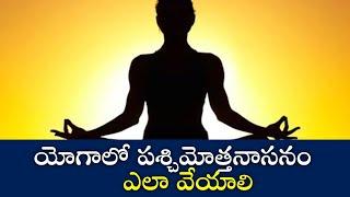 How to Pose Paschimottanasana in Yoga | యోగాలో పశ్చిమోత్తనాసనం ఎలా వేయాలి | Samayam Telugu