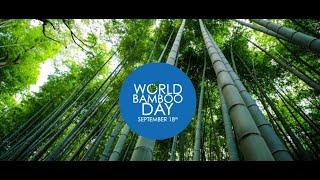 Happy World Bamboo Day 2023!