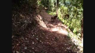 Hau'ula Loop Trail Hike