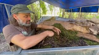 Wonderful Worms workshop with Kevin Azzopardi, Jenny McLean and Glenn Oliver