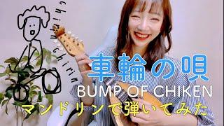 【歌詞付き】［車輪の唄/BUMP OF CHIKEN］をマンドリン日本一の女子が弾いてみた【マンドリン使用曲】（あいりん）