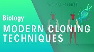 Modern Cloning Techniques | Genetics | Biology | FuseSchool