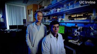 Discovery of New Skeletal Tissue - UC Irvine