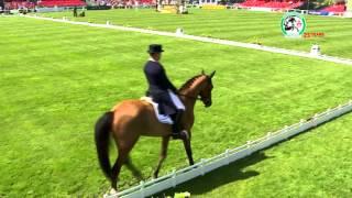 Michael Jung (GER) leads Dressage after Day 1 - Badminton Horse Trials 2016